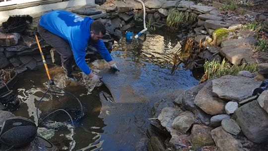 Pond Cleaning
